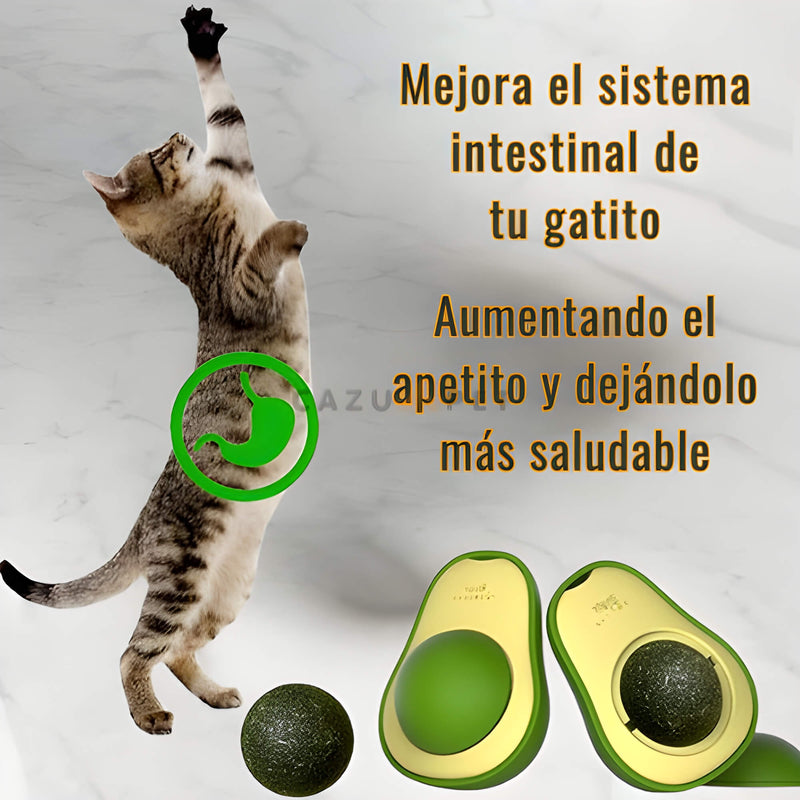 Delicia de Catnip de Aguacate