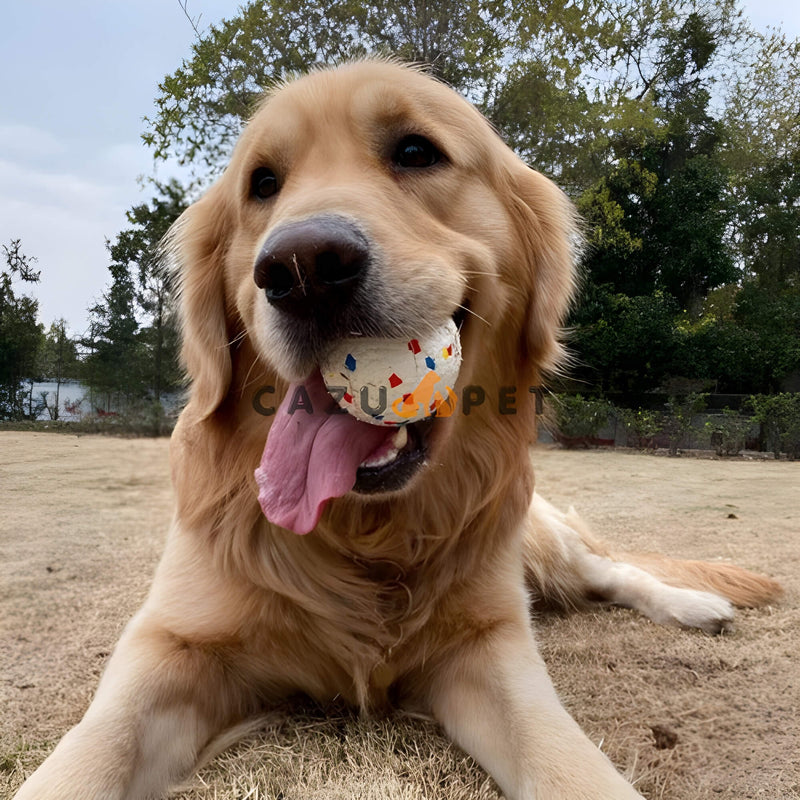 Bola de Masticación Indestructible para Perros