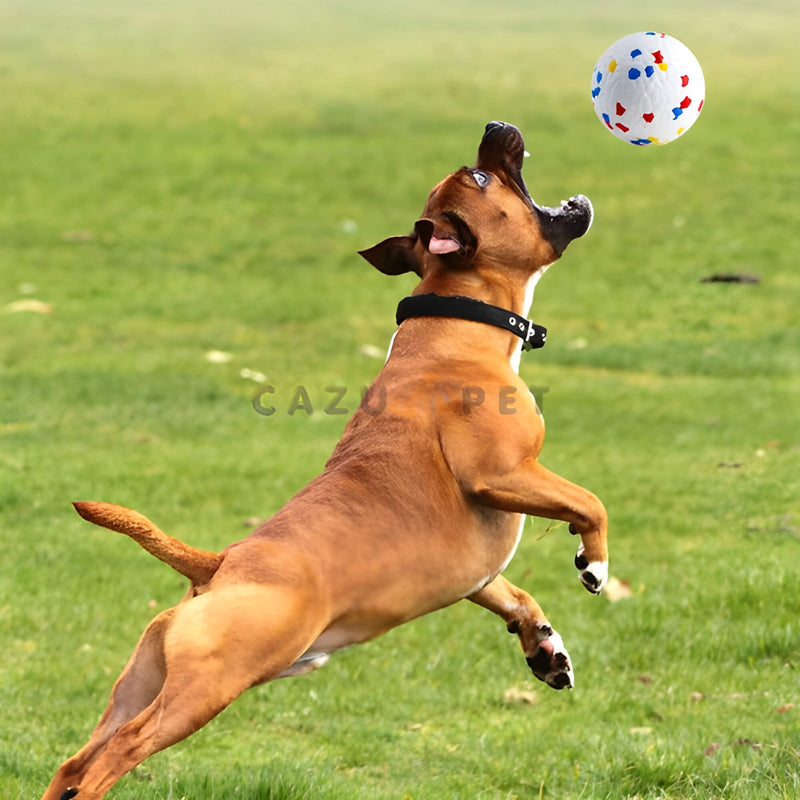 Bola de Masticación Indestructible para Perros