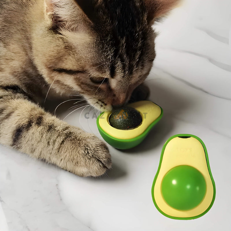 Delicia de Catnip de Aguacate