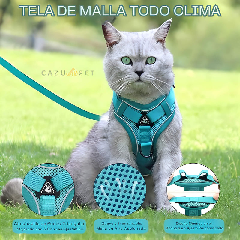 Conjunto de Arnés y Correa para Gatos Reflectante