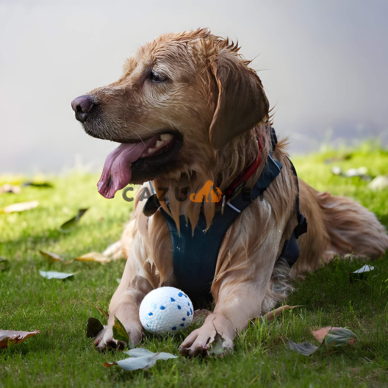 Bola de Masticación Indestructible para Perros